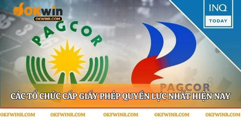 Những người cầm cân nảy mực trong giới cá cược