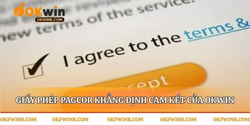 Giấy Phép PAGCOR: Lời cam kết uy tín từ OKWIN